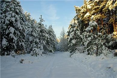 《冰汽时代2》新预告短片暗示游戏首发或包含Mod支持